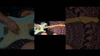 Vídeo de Scarlet Begonias