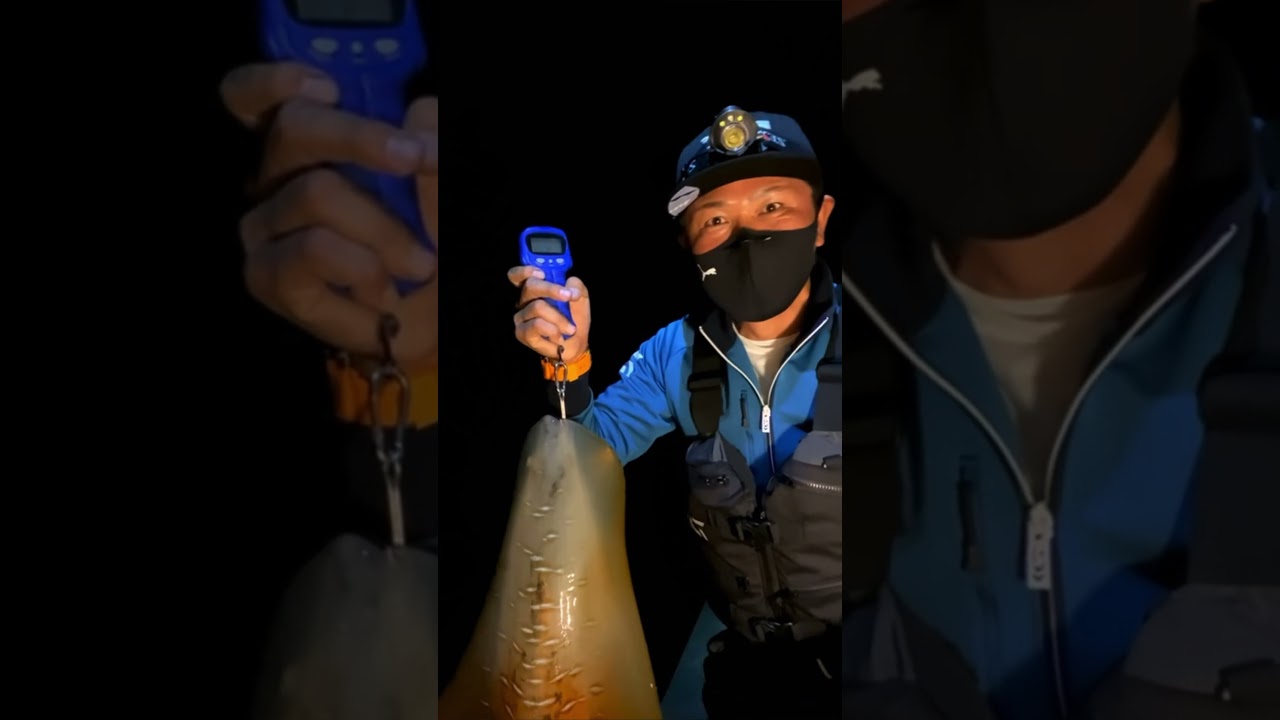 デカイカ‼️4キロオーバー捕獲シーン‼️#fishing #釣り
