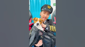 Kids learn the rules of behavior on an airplane