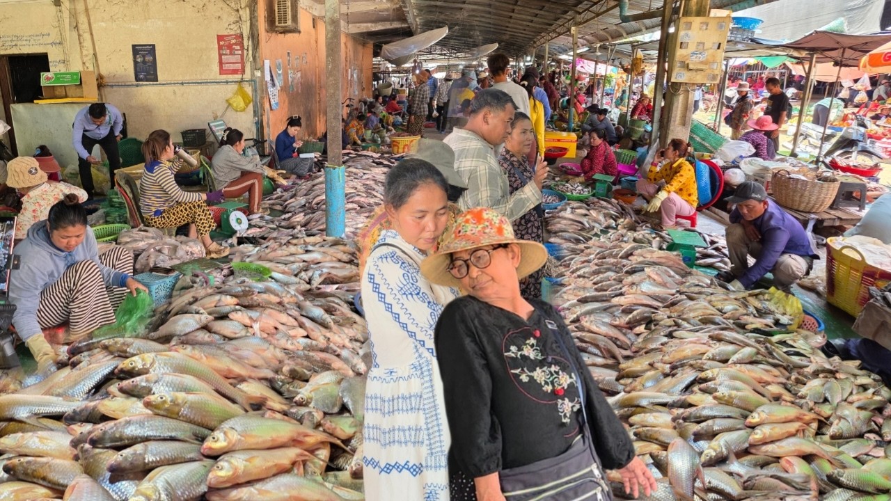 ផ្សារពន្លៃ ថ្ងៃនេះត្រីសំបូរខ្លាំងសុទ្ធតែឆ្កោករាប់តោន 🐟😳 || TAT SOKKΕΑ - ΚΗ [Ep. 1163]
