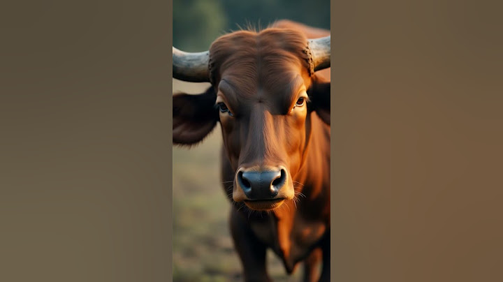 🐃💔 The Buffalo, the Farmer & the Bear – A Funny 😂 Yet Emotional 😢 Short Story!
