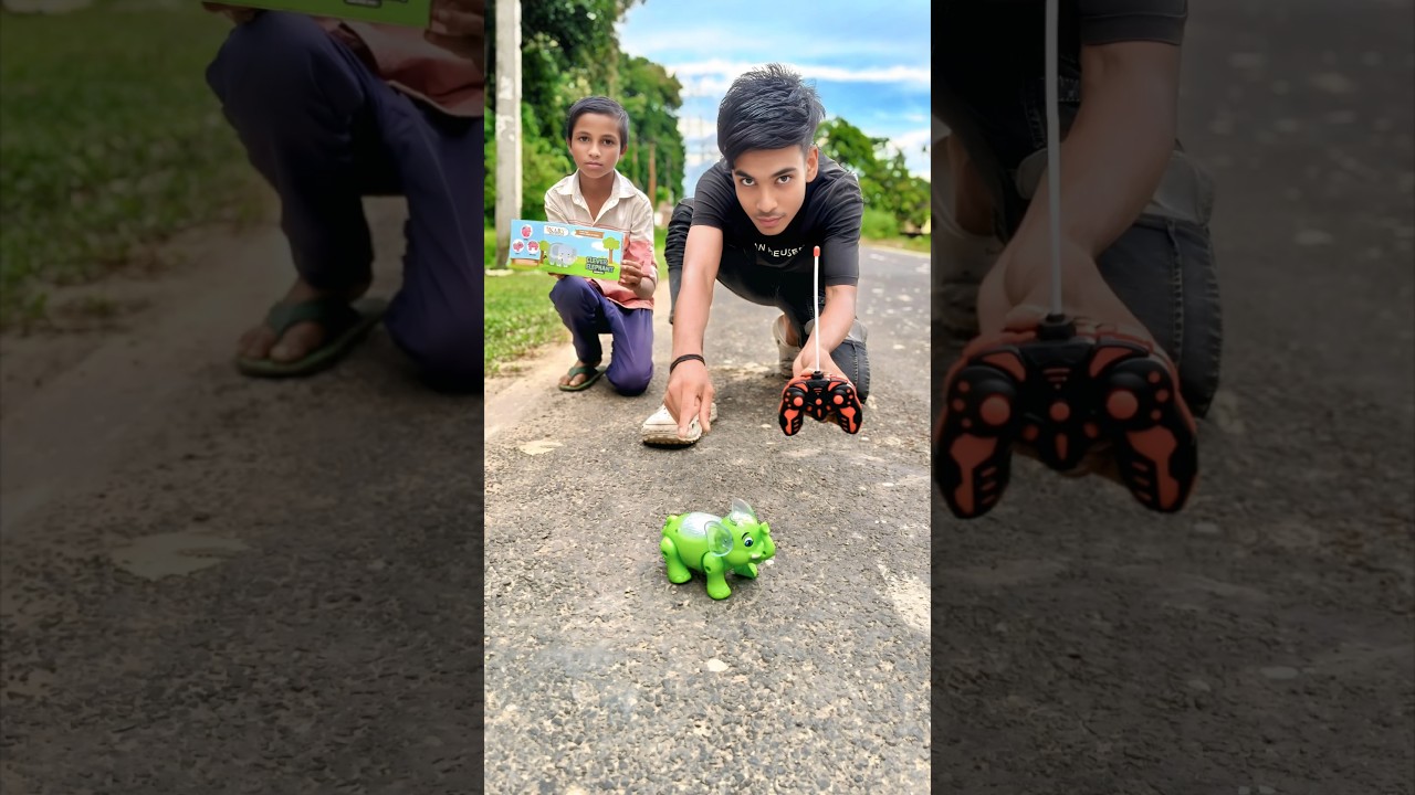 RC Clever Elephant 🐘 Unboxing Testing 🐘👍