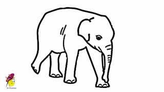 elephant drawing easy sketch cartoon simple draw drawings elephants sketches ears clipartmag getdrawings paintingvalley asian