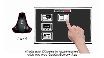 Which Spyder 4 is right for you?