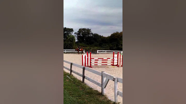 Annie - Chestnut Mare