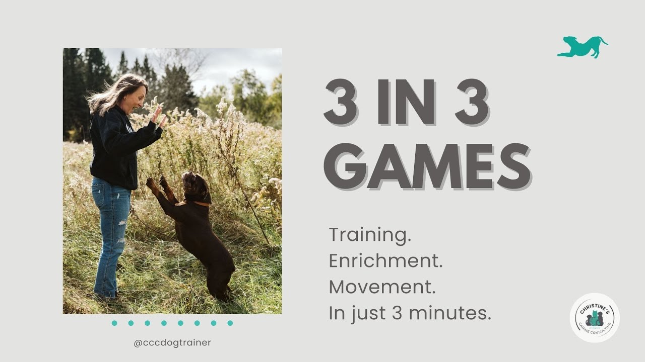 Paw Target Line Up | 3-in-3 Dog Training Game