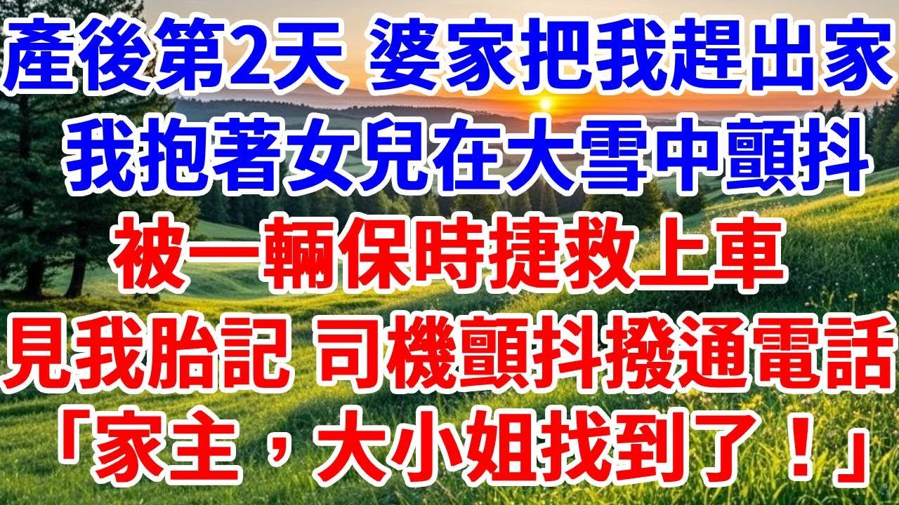 產後第2天，婆家6口把我趕出家門，我抱著女兒在大雪中顫抖，被一輛保時捷救上車，見我手臂胎記 司機顫抖撥通電話：家主，大小姐找到了！#詩涵講故事#為人處世#生活經驗#情感故事#晚年哲理#說故事#原創故事