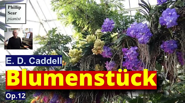 E. D. Caddell: Blumenstck (Flower Piece), Op.12