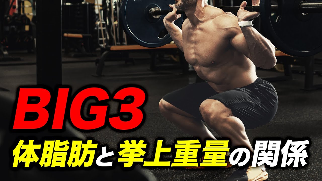 BIG 3] Multi-joint training and weight loss [B Legend Protein