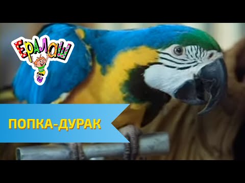 Ералаш Попка-дурак