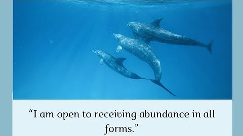 🐬Dolphin Technology - Light Language Activation - Sirian portal 🫶