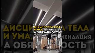 Числа сознания, их особенности и важность дисциплины🔢✨