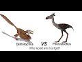 Raptor vs Terror Bird - Who would win in a fight?