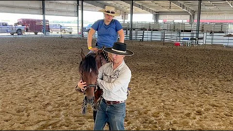 Two Ways To Release Tension In Your Horse’s Neck