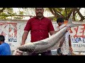 25KG | KASIMEDU SELVAM FISH CUTTING VIDEOS | KASIMEDU SELVAM | FISH CUTTING VIDEO | UK & SONS MARINE