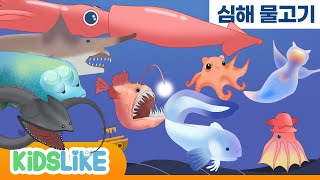 #심해 물고기 종류/10분#클리오네 #심해물고기