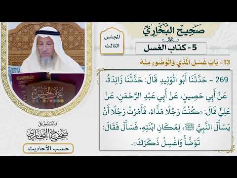 [269] حديث علي: كنت رجلًا مذاء فأمرت رجلًا [كتاب الغسل - باب غسل المذي والوضوء منه]
