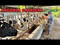 Impresionante HACIENDA GANADERA productora de LECHE 🥛🐄 Josué y Elie