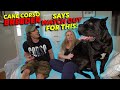 Cane Corso Breeder Says WATCH OUT For These Things!
