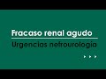 Fracaso renal agudo. Urgencias más frecuentes en Nefrourología