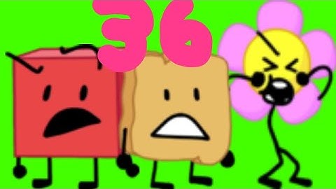 BFB Viewer Voting 36