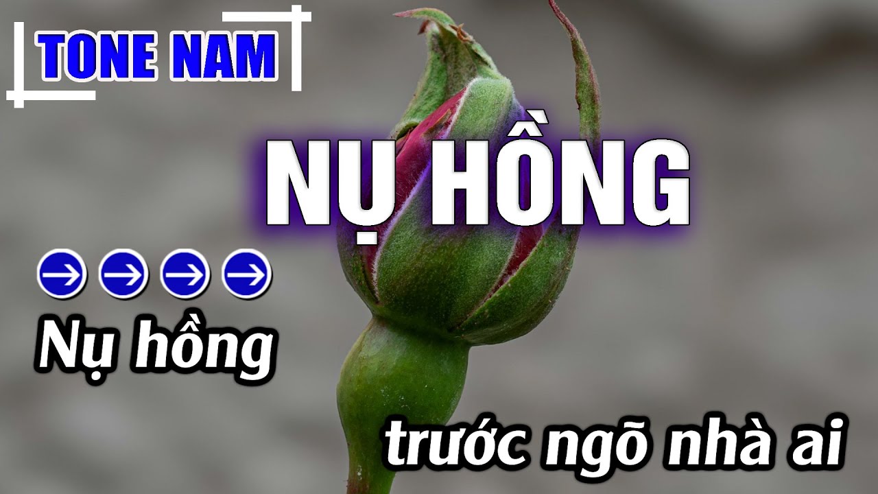 Nụ Hồng Karaoke Tone Nam ( Em ) Beat Mới | Karaoke Đăng Khôi