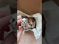 Игрушки для девочек всех возрастов 🥰 и не только) #crochet #puppy #toypoodle #суперсобака