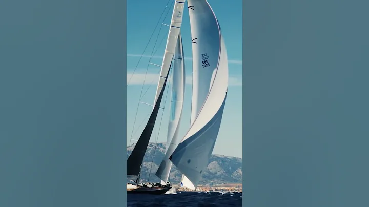 Luxury Sailing Yachts - Wally is daring - Ferretti Group