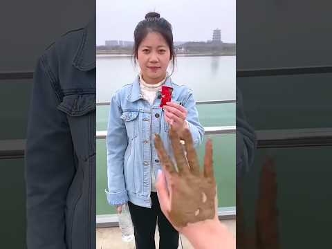 Những Vật Dụng