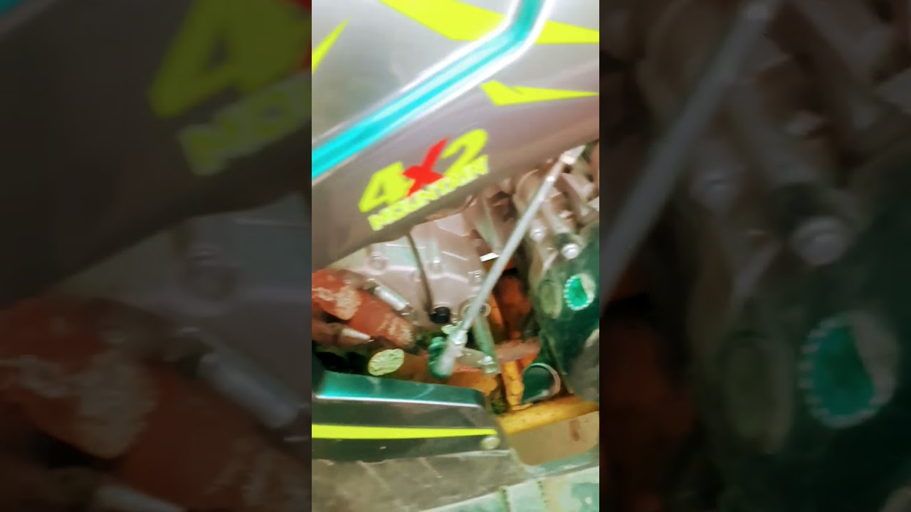 motoland wild track x