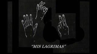 Video thumbnail of "Karl Neudert - Mis lagrimas"