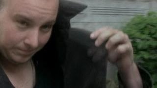 Famous Families with a History of Drug Addiction