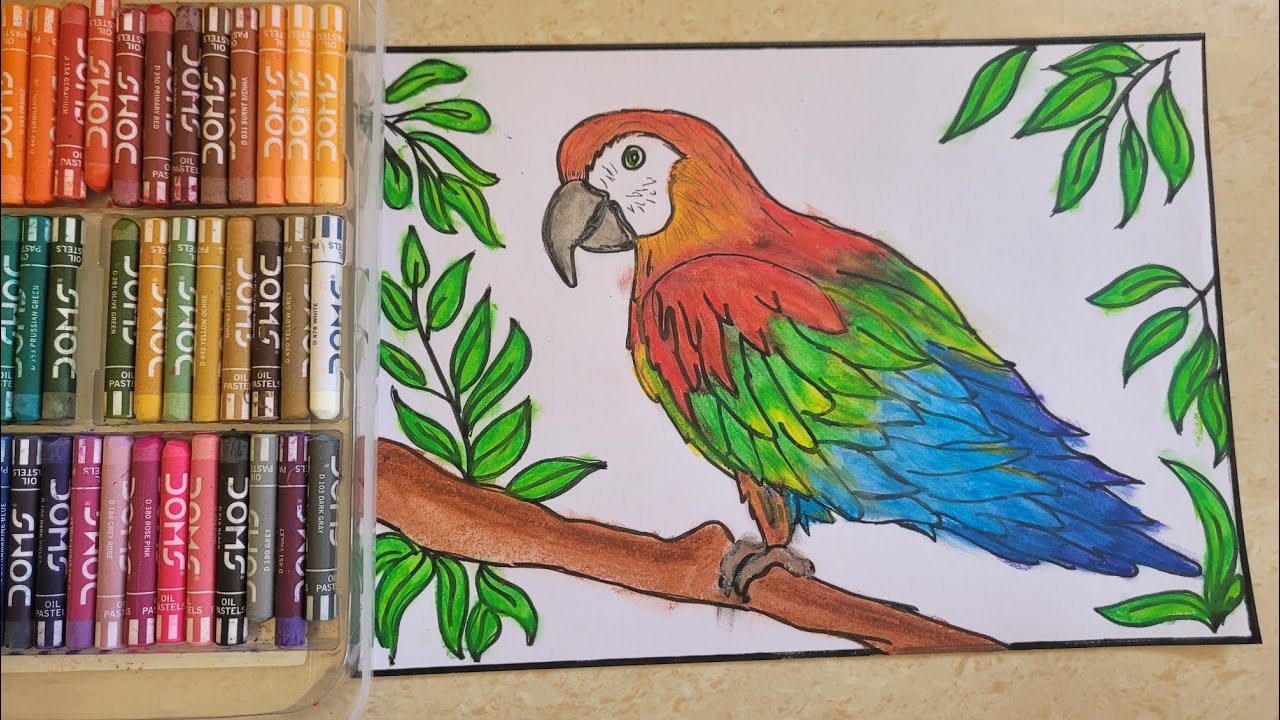Colorful Parrot drawing step by step