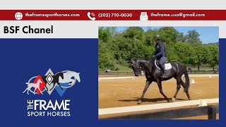 BSF Chanel ** BN Dressage at Morningside CT