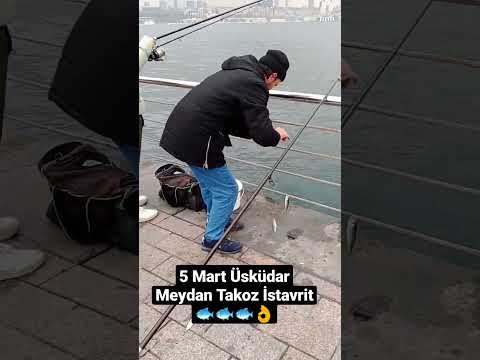 5 Mart Üsküdar
