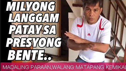 Paano puksain ang mga pesteng LANGGAM sa bahay./How to get rid of ants with 4 kitchen ingredients.