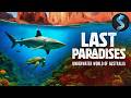 Ocean Survival Battle | Wildlife Documentary | Last Paradises: Underwater World of Australia