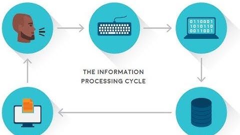 INFORMATION PROCESSING CYCLE