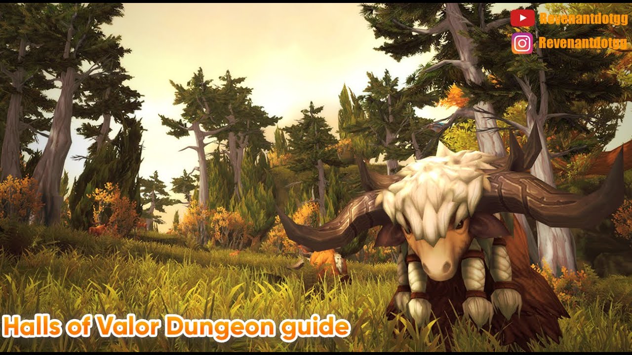 Dragonflight Halls of Valor Dungeon Guide - دراگون فلایت - YouTube