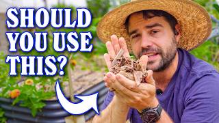 Do I Regret Filling My Raised Bed With Wood Chips | 1 Year Later