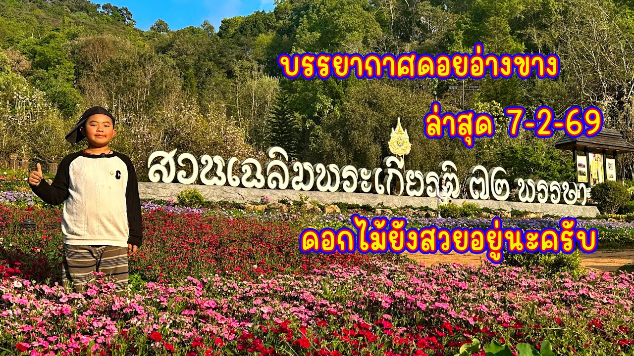 บรรยากาศดอยอ่างขาง ล่าสุด 7/2/69 ดอกไม้ยังสวยอยู่นะครับ