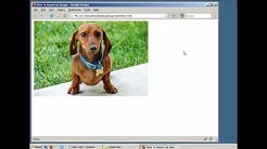 How to Insert an Image in a Webpage (HTML / XHTML) 