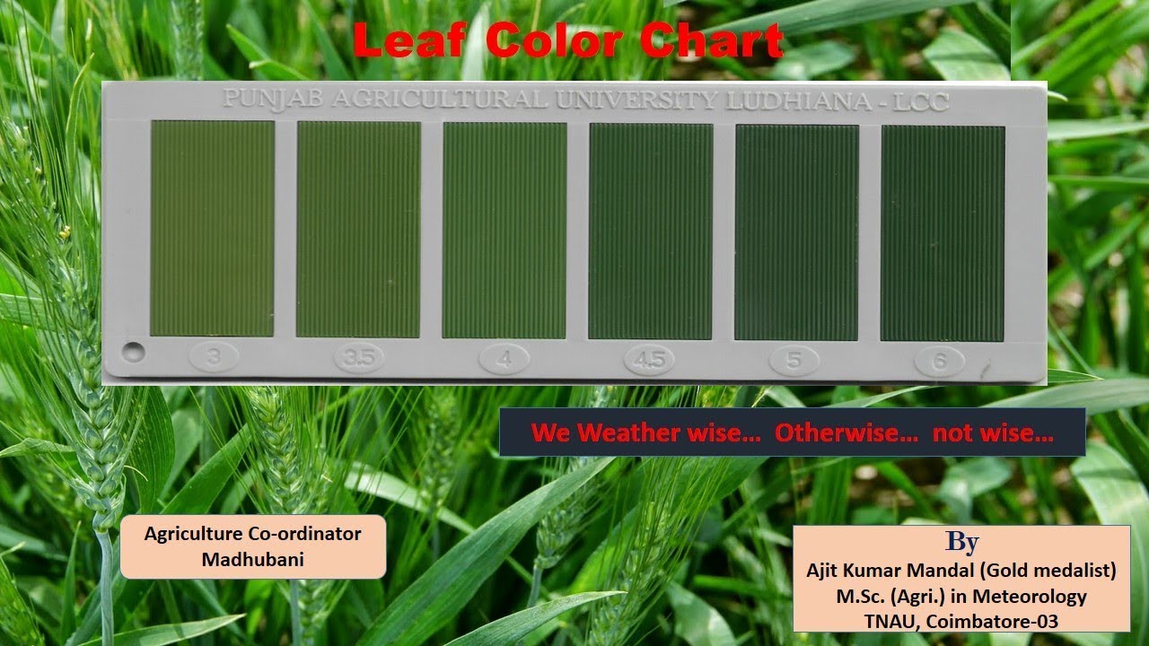 Leaf Color Chart