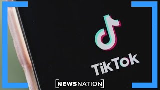 White House invites content creators ahead of potential TikTok ban | NewsNation Live