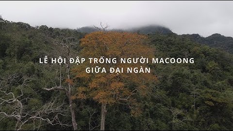 Lễ hội đập trống của người Ma Coong trong "Hành trình đi tìm dấu ấn Trường Sơn huyền thoại)
