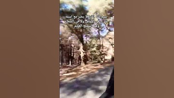 لا تترك اذكار الصباح و المساء #اكسبلور #explore #islamicvideo #reels #اذكار #قرآن