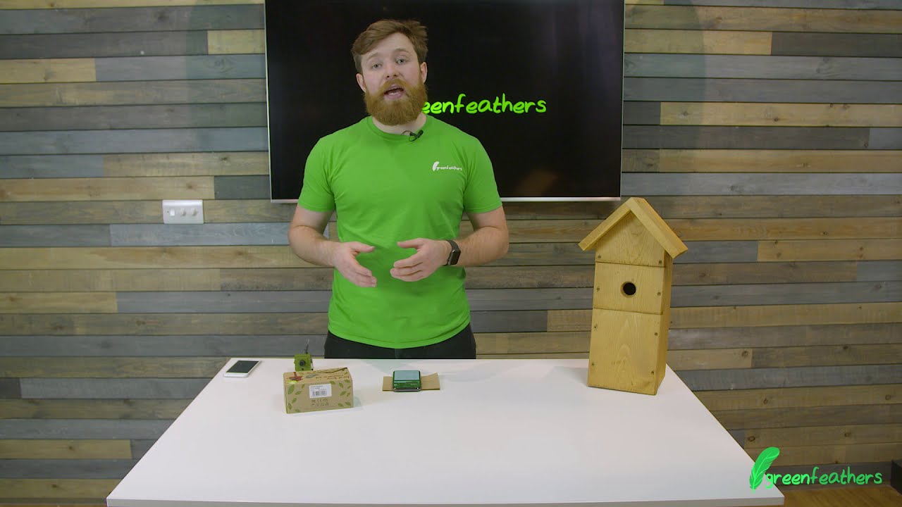 green feathers bird box camera app