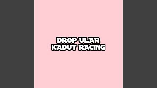 DROP ULAR KADUT RACING