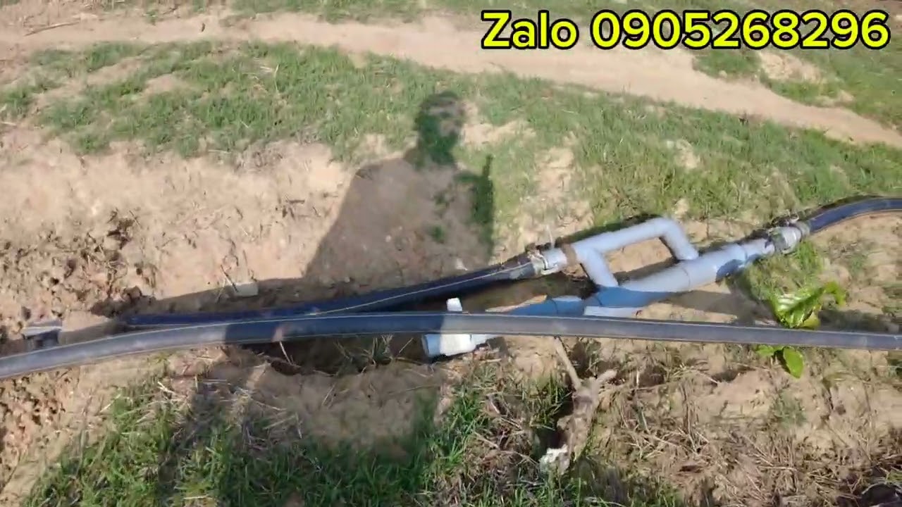 1,2 ha cà phê đẹp sen tiêu và điều có nhà có hồ lớn đường xá thuận tiện giá hợp lý 