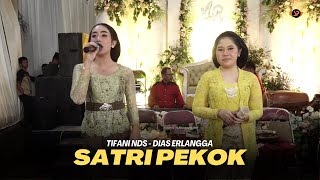 SATRI PEKOK - TIFANI NDS Feat DIAS ERLANGGA || CS. WANAJAYA || WANAJAYA AUDIO